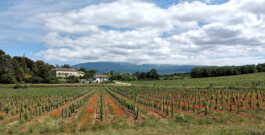 Ferienhaus in der Provence